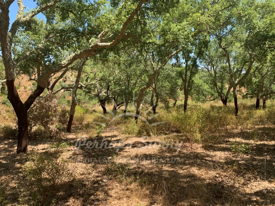 Terreno Agricola ou Rústico para Venda em Santiago do Cacém, Santa Cruz e São Bartolomeu da Serra Foto 13