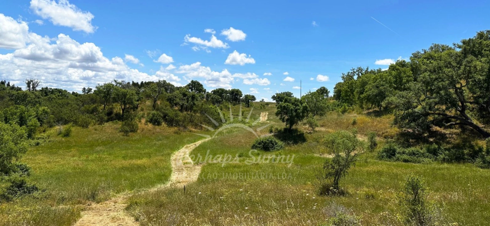 Terreno Agricola ou Rústico para Venda em Santiago do Cacém, Santa Cruz e São Bartolomeu da Serra Foto 2