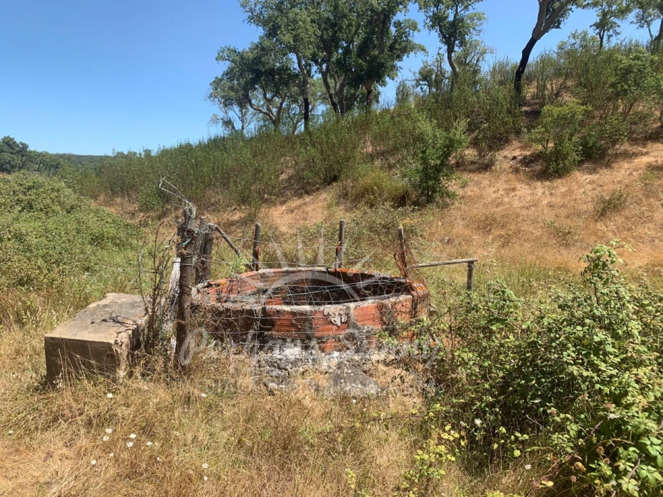Terreno Agricola ou Rústico para Venda em Santiago do Cacém, Santa Cruz e São Bartolomeu da Serra Foto 4