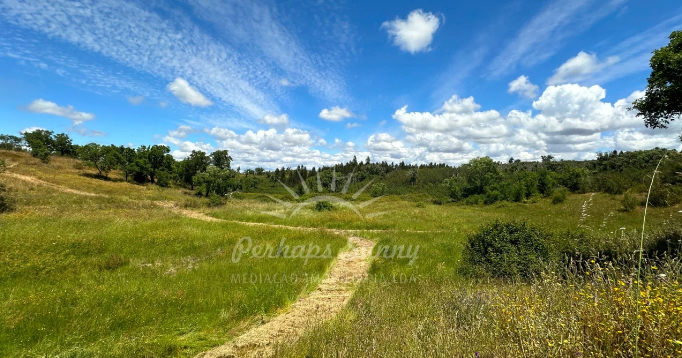 Terreno Agricola ou Rústico para Venda em Santiago do Cacém, Santa Cruz e São Bartolomeu da Serra Foto 5