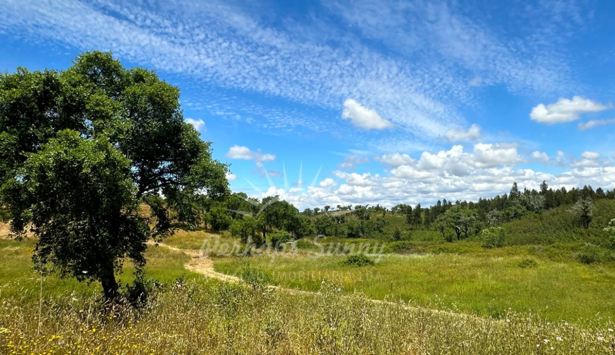 Terreno Agricola ou Rústico para Venda em Santiago do Cacém, Santa Cruz e São Bartolomeu da Serra Foto 18