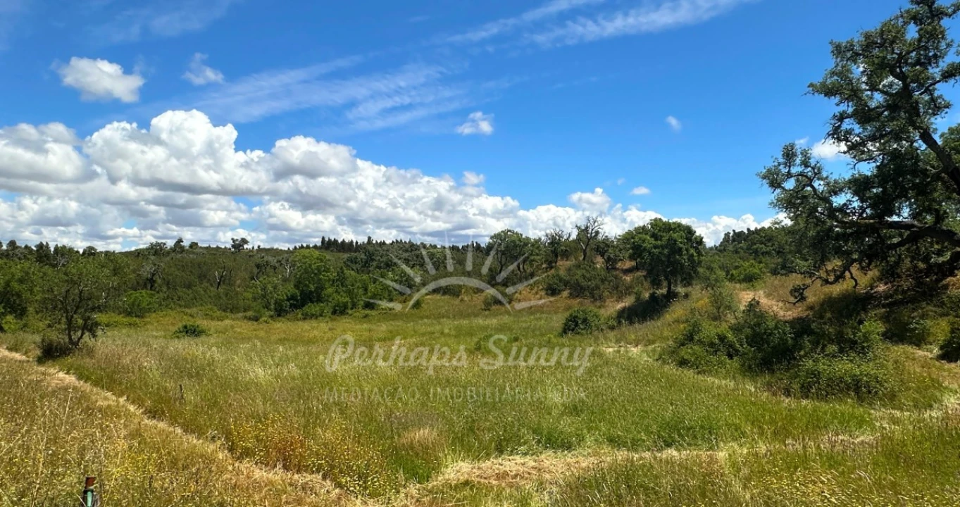 Terreno Agricola ou Rústico para Venda em Santiago do Cacém, Santa Cruz e São Bartolomeu da Serra Foto 20