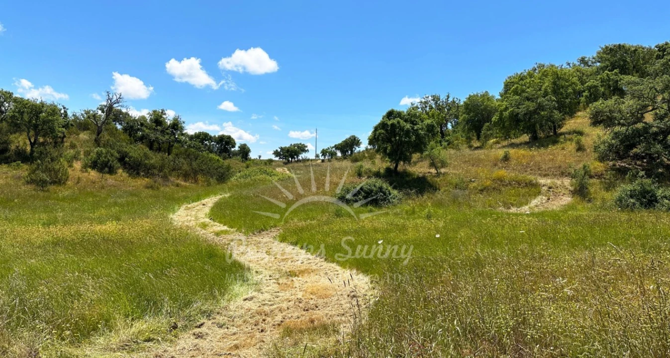 Terreno Agricola ou Rústico para Venda em Santiago do Cacém, Santa Cruz e São Bartolomeu da Serra Foto 21