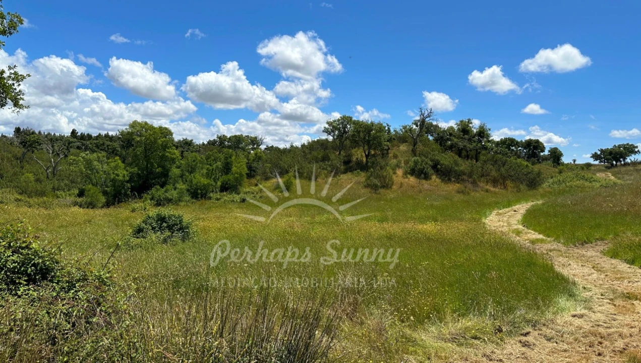 Terreno Agricola ou Rústico para Venda em Santiago do Cacém, Santa Cruz e São Bartolomeu da Serra Foto 23