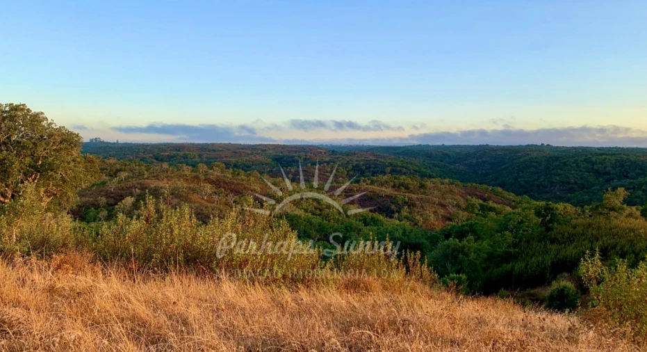 Terreno Agricola ou Rústico para Venda em Santiago do Cacém, Santa Cruz e São Bartolomeu da Serra Foto 6