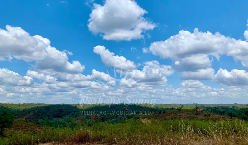 Terreno Agricola ou Rústico para Venda em Santiago do Cacém, Santa Cruz e São Bartolomeu da Serra Foto 7