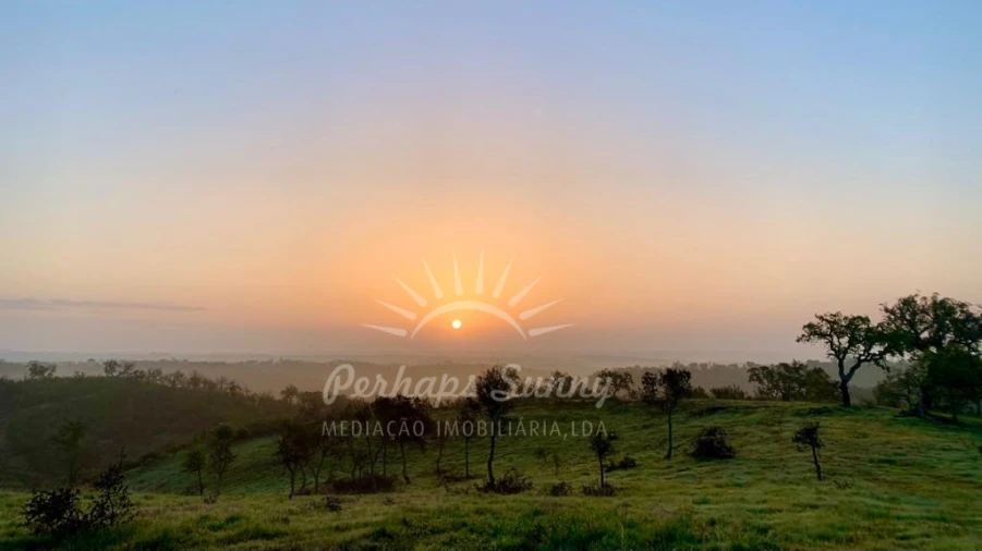 Terreno Agricola ou Rústico para Venda em Santiago do Cacém, Santa Cruz e São Bartolomeu da Serra Foto 8