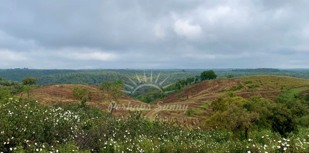 Terreno Agricola ou Rústico para Venda em Santiago do Cacém, Santa Cruz e São Bartolomeu da Serra Foto 9