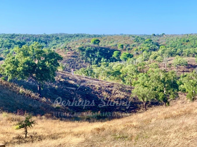 Terreno Agricola ou Rústico para Venda em Santiago do Cacém, Santa Cruz e São Bartolomeu da Serra Foto 12