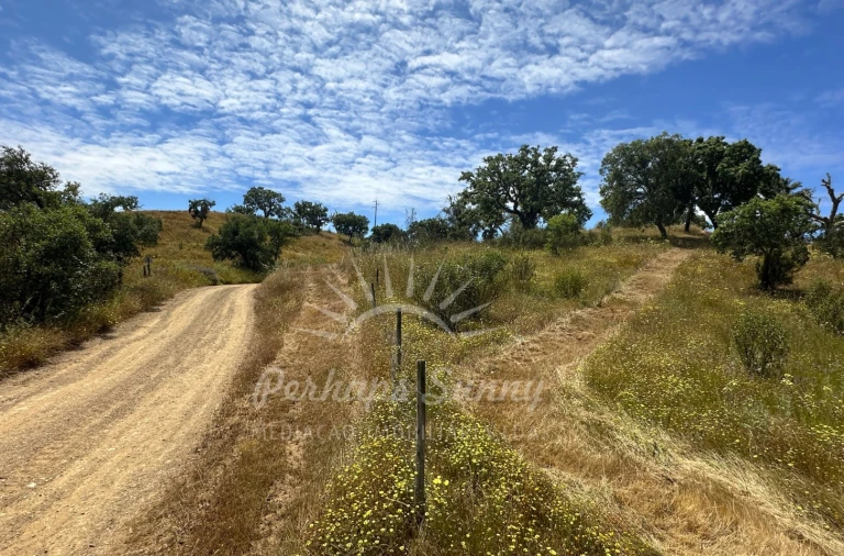 Terreno Agricola ou Rústico para Venda em Santiago do Cacém, Santa Cruz e São Bartolomeu da Serra Foto 3