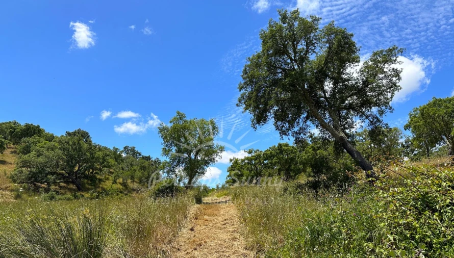 Terreno Agricola ou Rústico para Venda em Santiago do Cacém, Santa Cruz e São Bartolomeu da Serra Foto 15