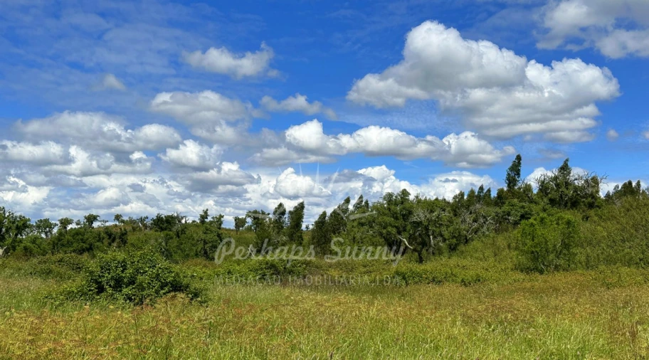 Terreno Agricola ou Rústico para Venda em Santiago do Cacém, Santa Cruz e São Bartolomeu da Serra Foto 17