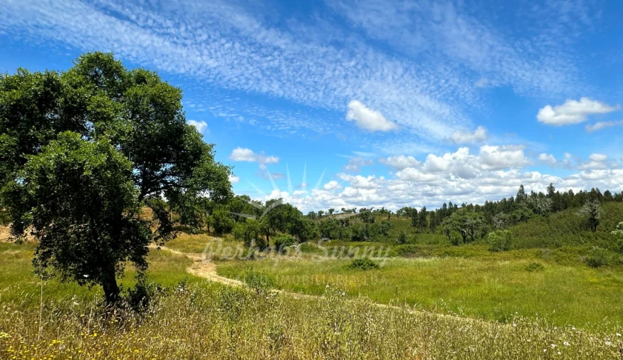 Terreno Agricola ou Rústico para Venda em Santiago do Cacém, Santa Cruz e São Bartolomeu da Serra Foto 18