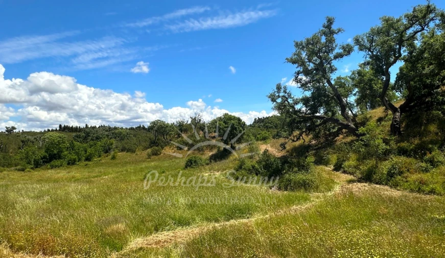 Terreno Agricola ou Rústico para Venda em Santiago do Cacém, Santa Cruz e São Bartolomeu da Serra Foto 19