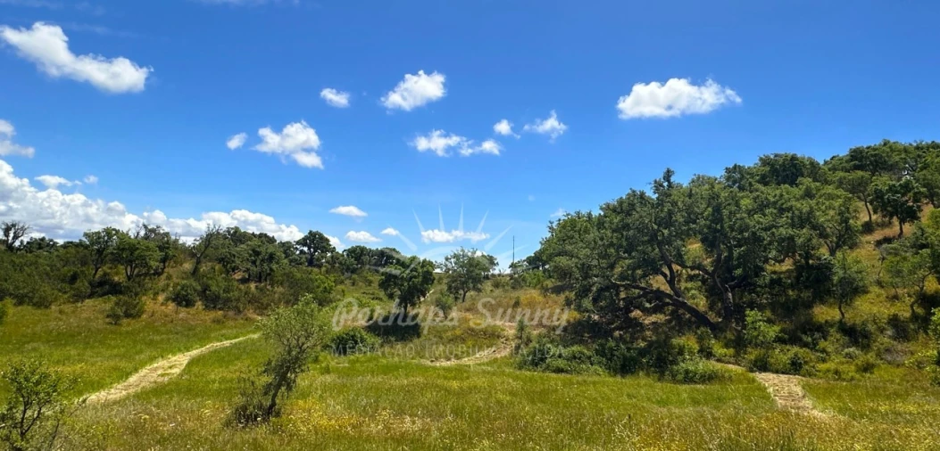 Terreno Agricola ou Rústico para Venda em Santiago do Cacém, Santa Cruz e São Bartolomeu da Serra Foto 22