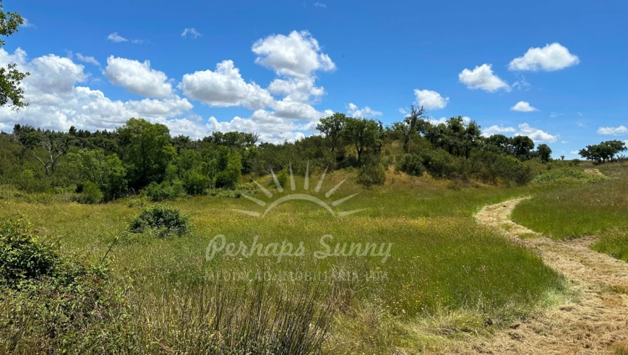 Terreno Agricola ou Rústico para Venda em Santiago do Cacém, Santa Cruz e São Bartolomeu da Serra Foto 23