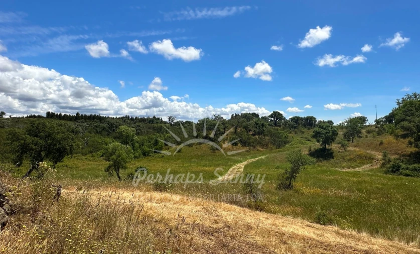Terreno Agricola ou Rústico para Venda em Santiago do Cacém, Santa Cruz e São Bartolomeu da Serra Foto 24