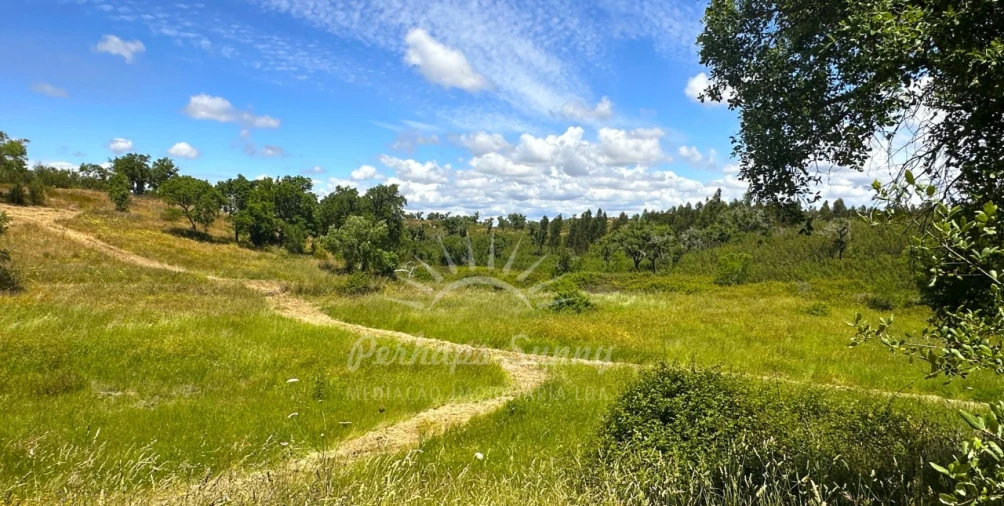 Terreno Agricola ou Rústico para Venda em Santiago do Cacém, Santa Cruz e São Bartolomeu da Serra Foto 26
