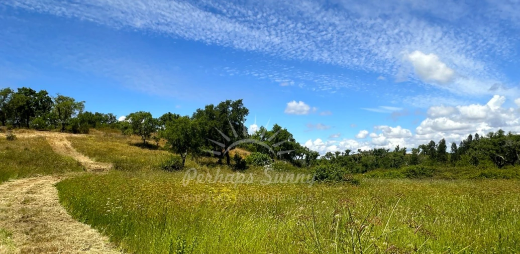 Terreno Agricola ou Rústico para Venda em Santiago do Cacém, Santa Cruz e São Bartolomeu da Serra Foto 27