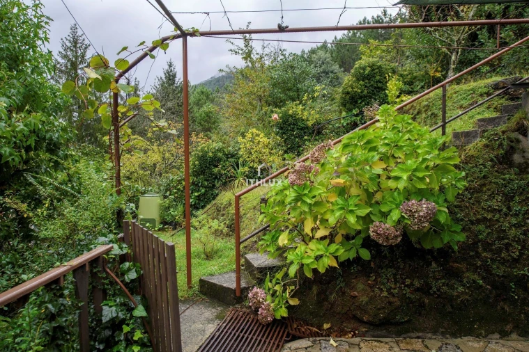 Moradia T4 para Venda em Vilar da Veiga Foto 38