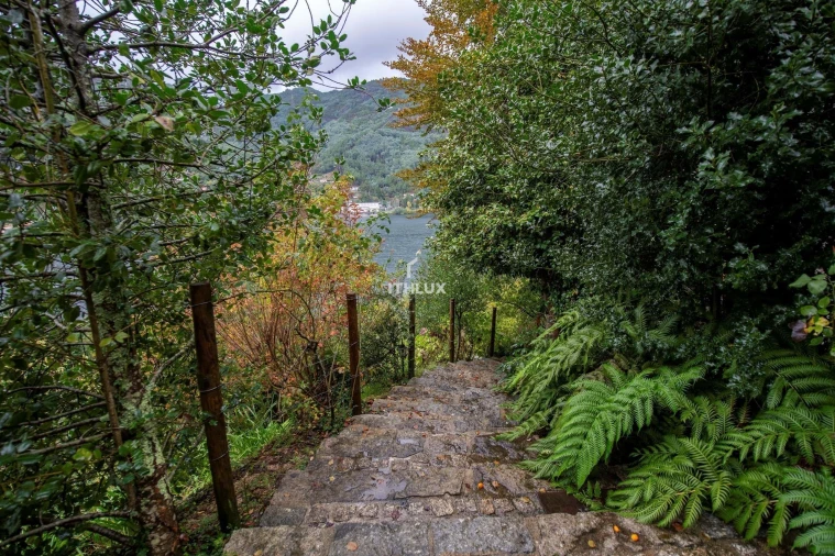 Moradia T4 para Venda em Vilar da Veiga Foto 49