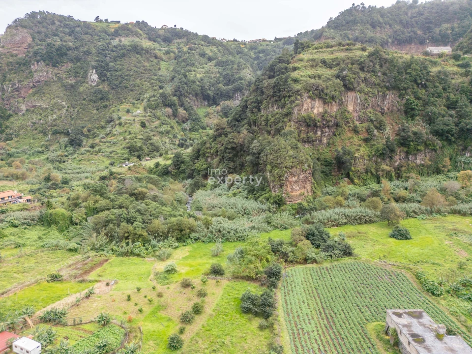 Terreno para Venda em São Jorge Foto 22