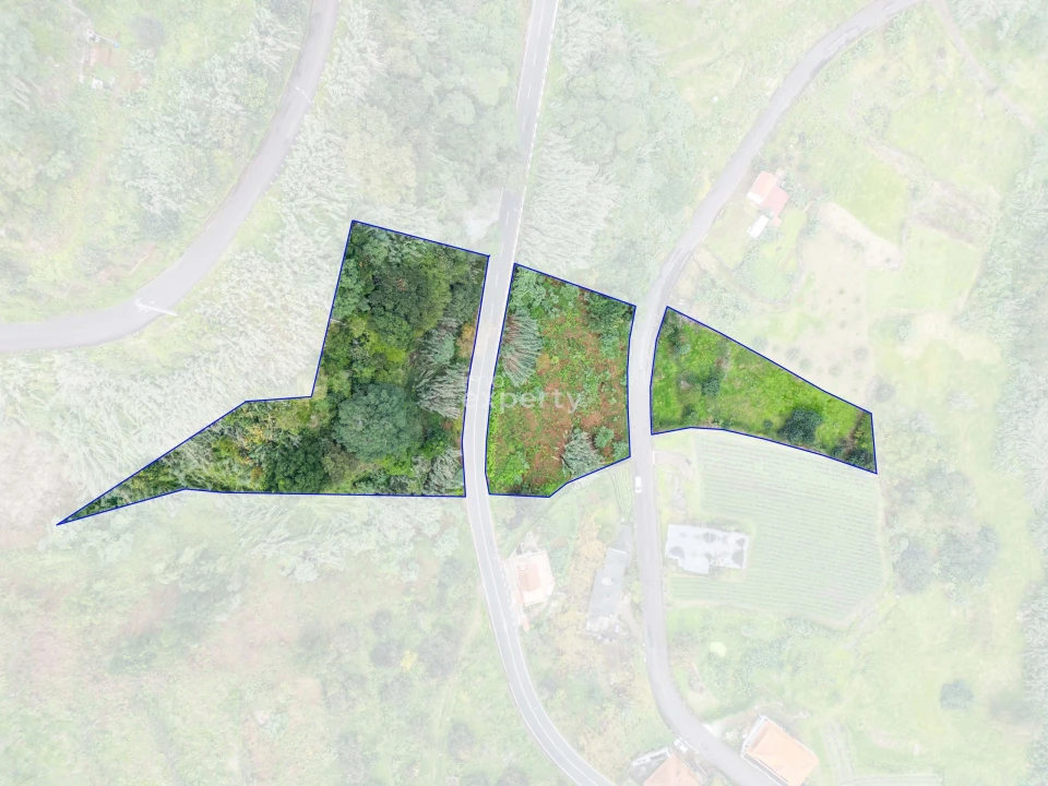 Terreno para Venda em São Jorge Foto 8