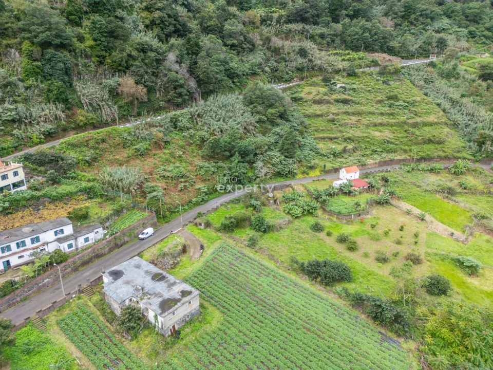 Terreno para Venda em São Jorge Foto 15