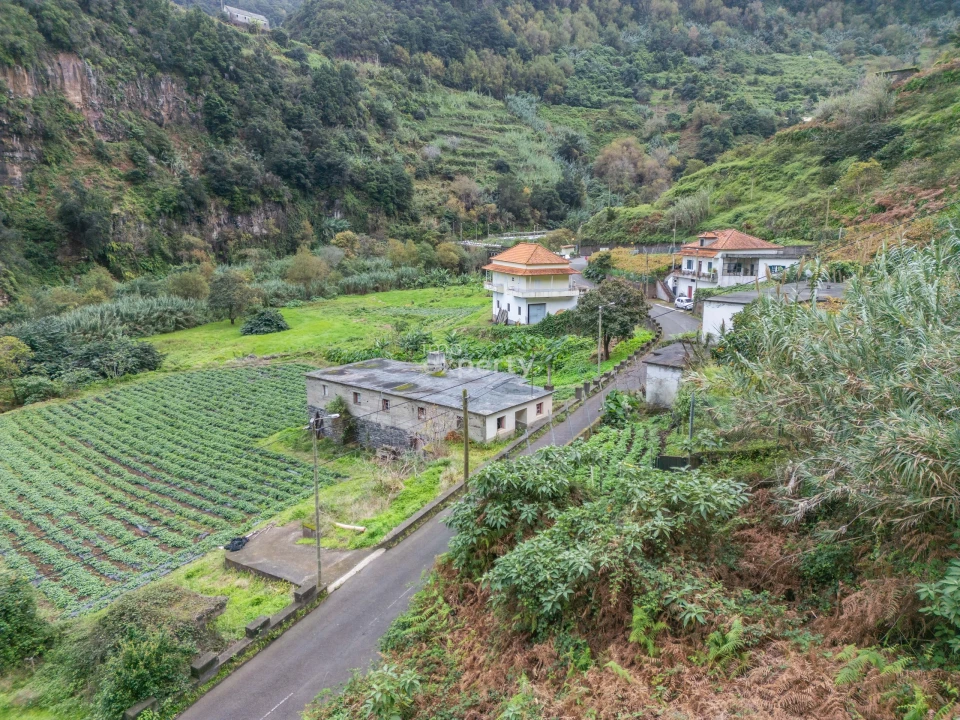 Terreno para Venda em São Jorge Foto 2