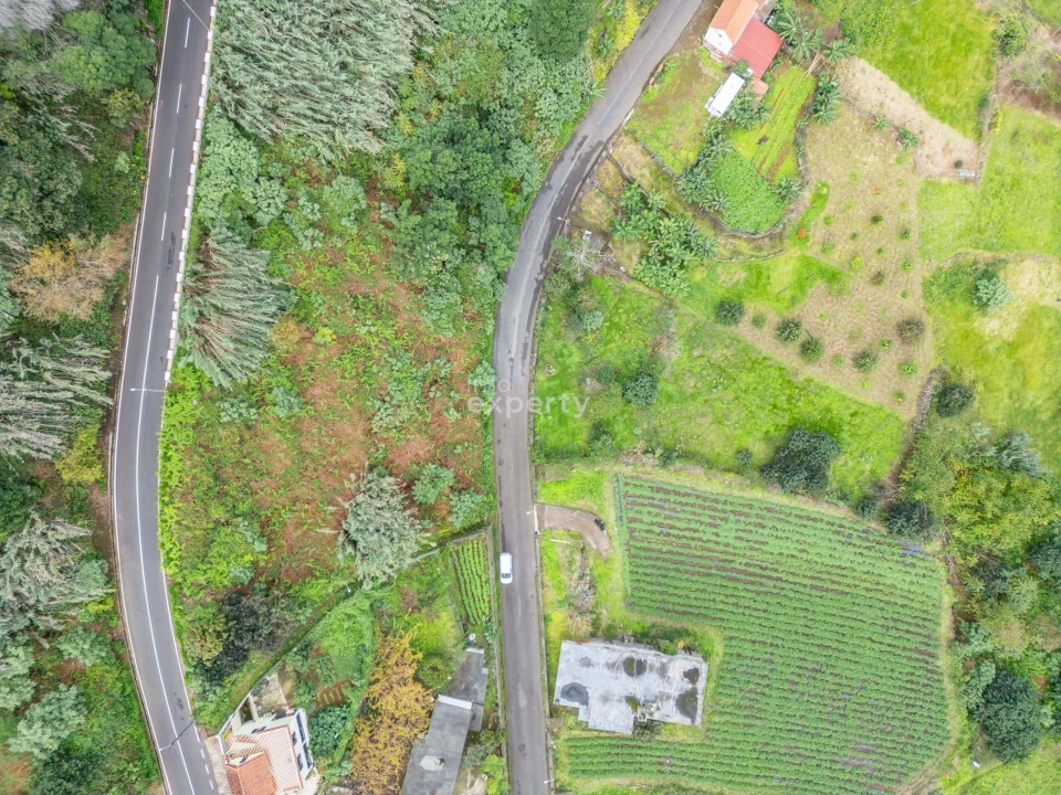 Terreno para Venda em São Jorge Foto 5