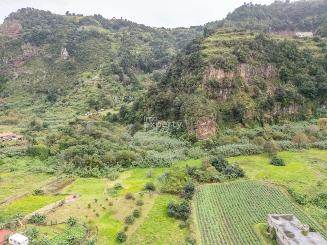Terreno para Venda em São Jorge Foto 22