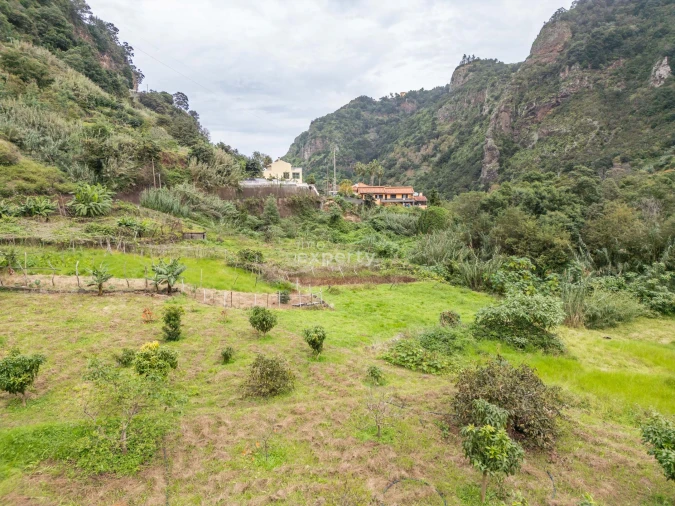 Terreno para Venda em São Jorge Foto 25