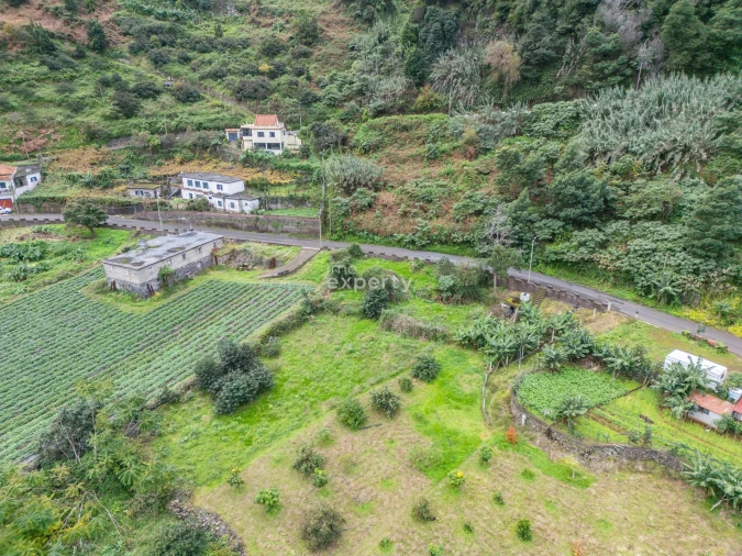 Terreno para Venda em São Jorge Foto 14