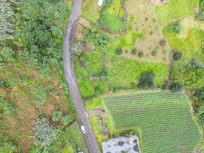 Terreno para Venda em São Jorge Foto 3