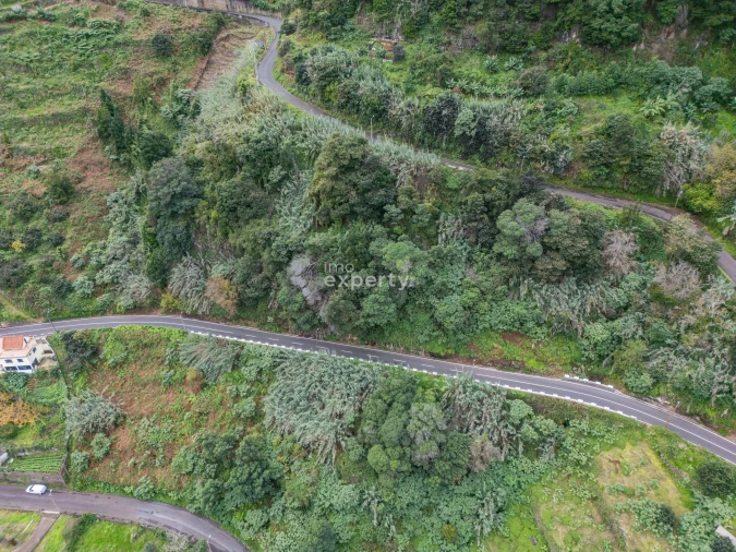 Terreno para Venda em São Jorge Foto 20