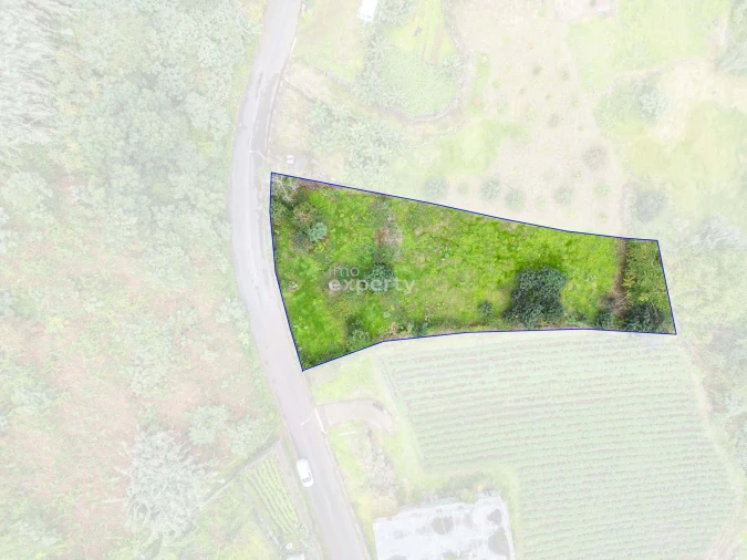 Terreno para Venda em São Jorge Foto 4