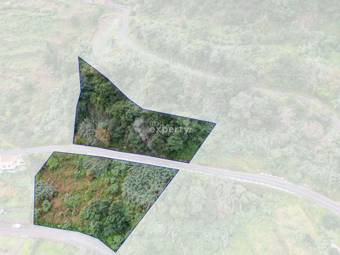 Terreno para Venda em São Jorge Foto 21