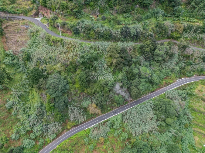 Terreno para Venda em São Jorge Foto 18