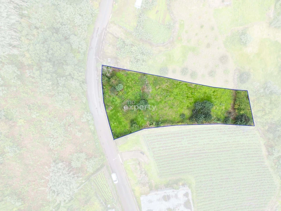 Terreno para Venda em São Jorge Foto 4