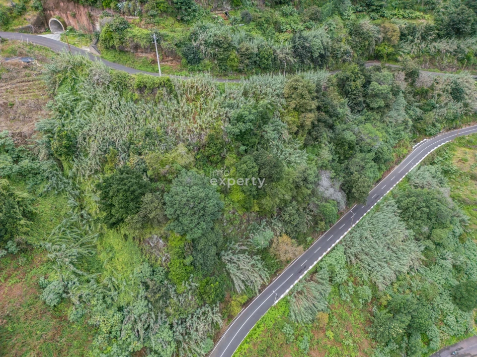 Terreno para Venda em São Jorge Foto 17