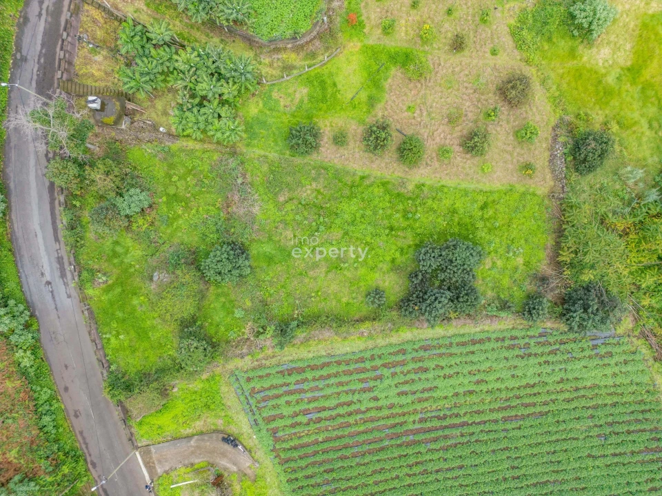 Terreno para Venda em São Jorge Foto 12