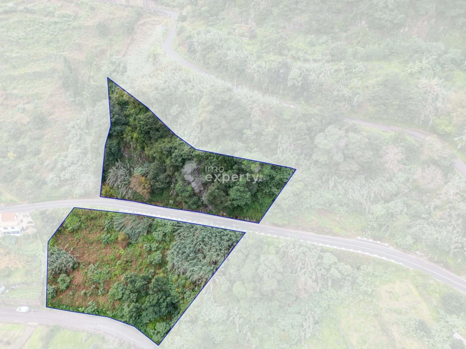 Terreno para Venda em São Jorge Foto 21