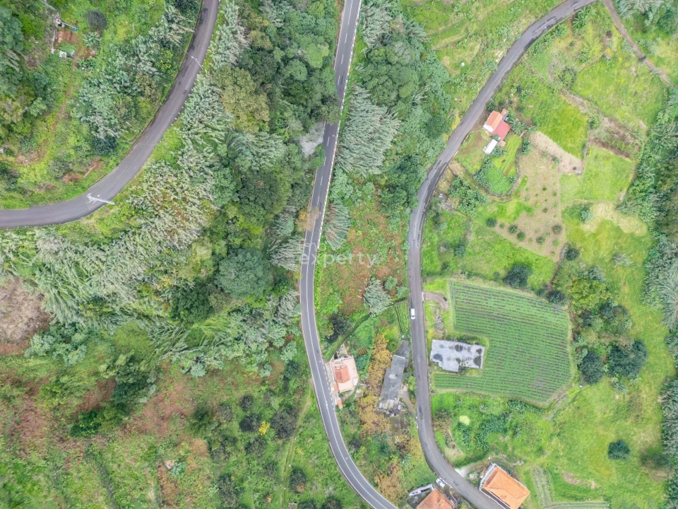 Terreno para Venda em São Jorge Foto 7