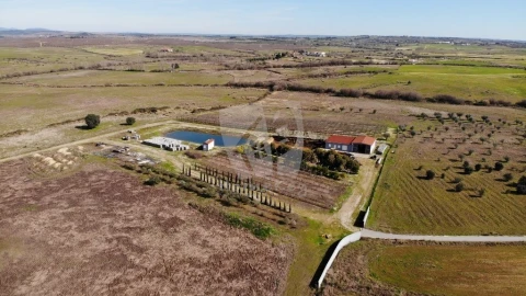 Negócio para Venda em Ladoeiro