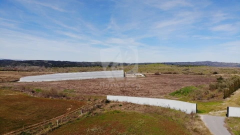 Negócio para Venda em Ladoeiro