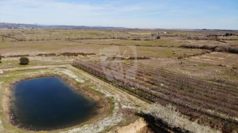 Negócio para Venda em Ladoeiro