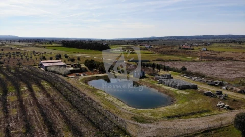 Negócio para Venda em Ladoeiro