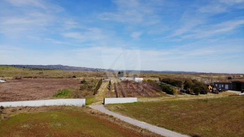 Negócio para Venda em Ladoeiro
