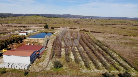 Negócio para Venda em Ladoeiro