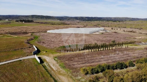 Negócio para Venda em Ladoeiro